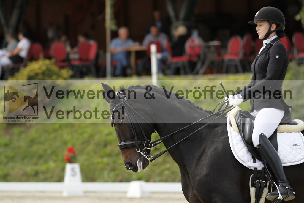 _MG_8841 | equestrian-live-com