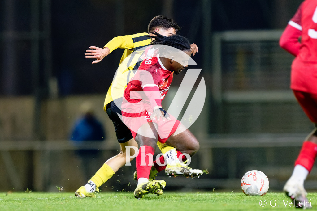 104_DZ9_6078 | Velletri Photo