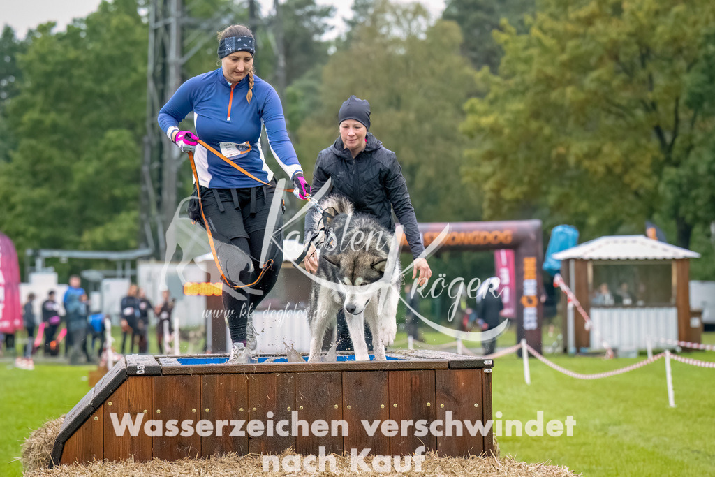 1027--7 | kk-dogfotos