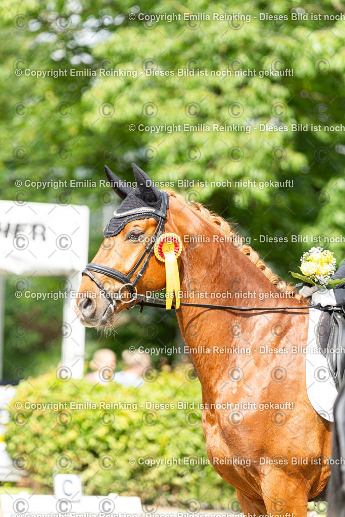 CL5A6308 | Emilia Reinking Fotografie - Realisiert mit Pictrs.com