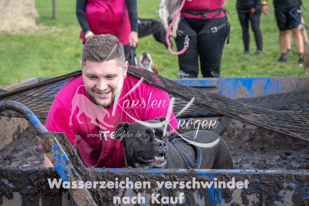 1417_ZZ91882 | kk-dogfotos