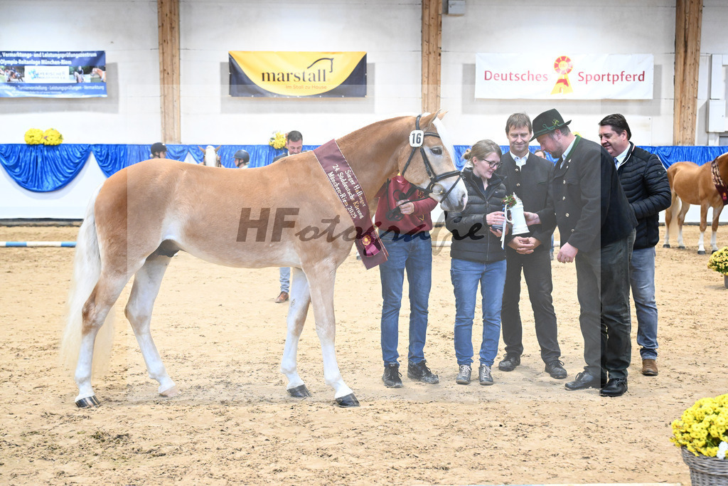 Kat-Nr. 16 nn v. Neustart_Obermeyer_48254202 | hf-fotografie - Realisiert mit Pictrs.com