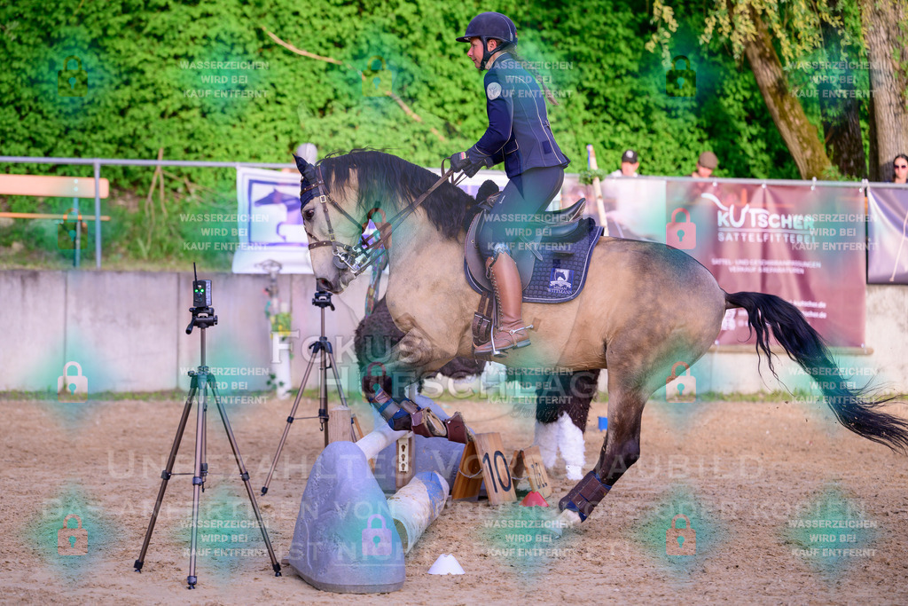 02052026-Giesenbach-03-Speedtrail-1367 | Fokus Hufschlag Fotografie - Realisiert mit Pictrs.com