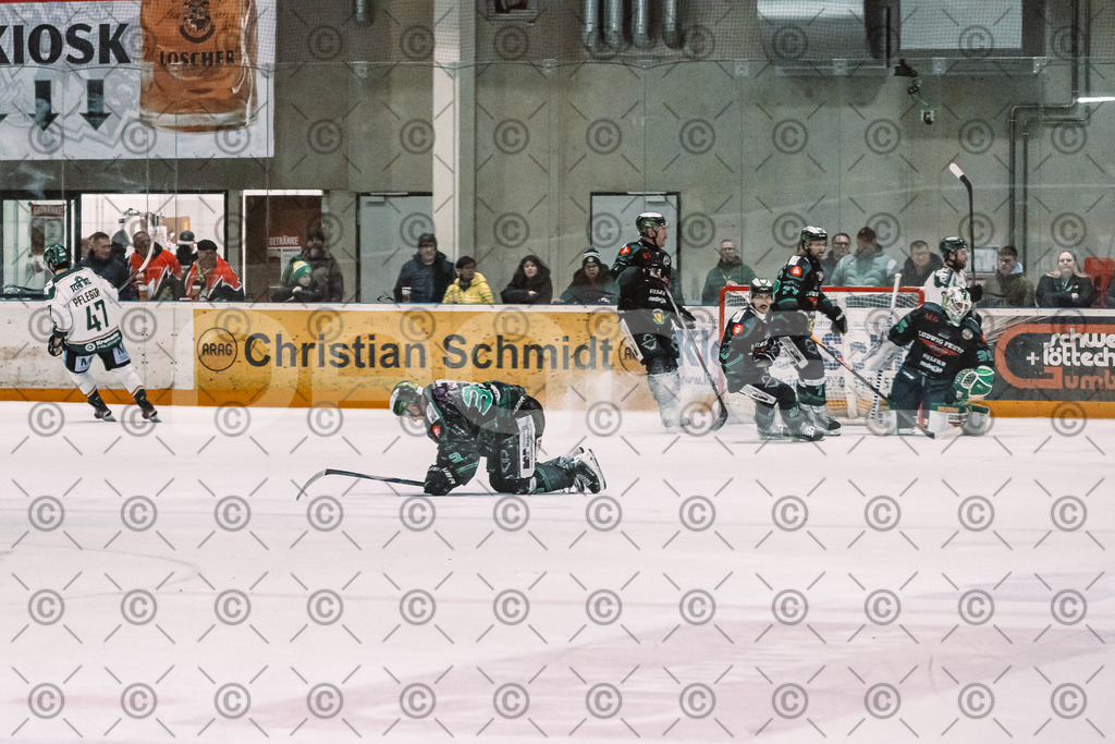 Alligators_vs_Erding_12_12_2025-138 | Höchstadt Alligators Fotogalerie: Eishockey-Action aus Franken. Professionelle Spielfotos, Portraits & Stadionbilder zum Download. Jetzt entdecken! - Realized with Pictrs.com