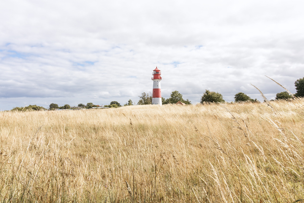 Wandbild: Goldener Deich - Leuchtturm Falshöft im Wind | Dieses stimmungsvolle Wandbild fängt die zeitlose Magie der Ostseeküste am Leuchtturm Falshöft ein. Im Vordergrund wiegen sich die naturbelassenen, goldenen Gräser auf dem Deich sanft im Wind, während der rot-weiße Leuchtturm als majestätischer Mittelpunkt Ruhe und Orientierung ausstrahlt. Die warmen, natürlichen Erdtöne und der weite Himmel schaffen eine harmonische, beinahe meditative Atmosphäre – perfekt für anspruchsvolle Wohnkonzepte mit Sinn für nordische Naturästhetik