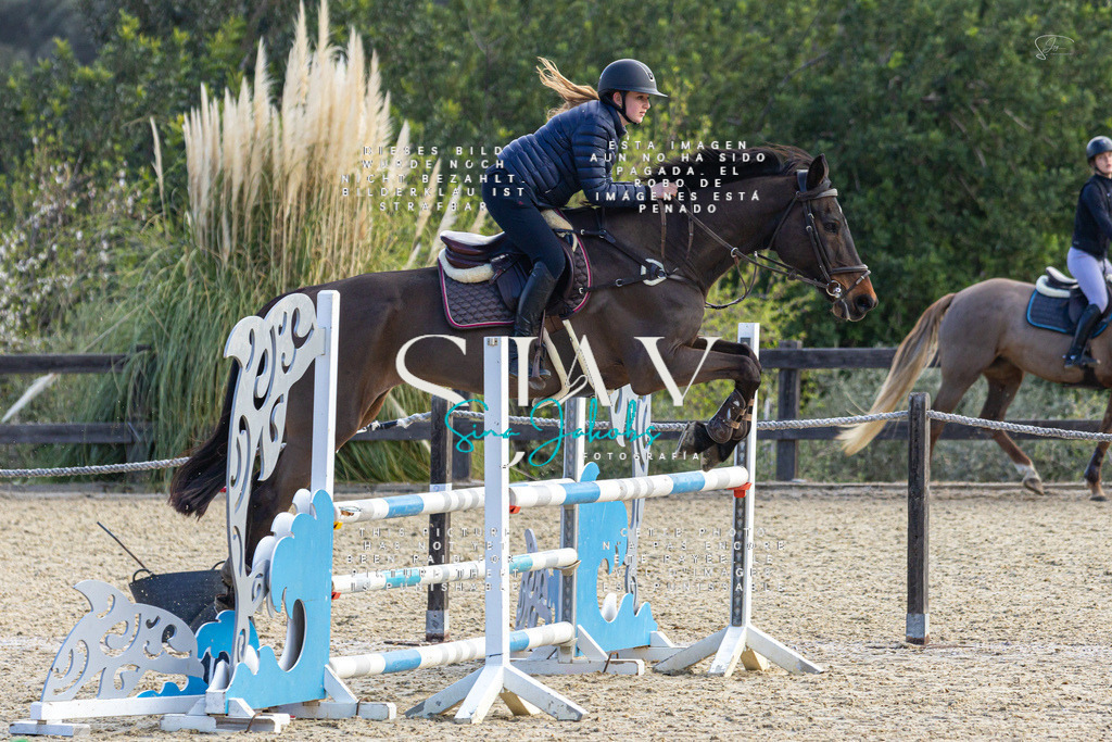 IMG_5092 | s-jay-photography - Realisiert mit Pictrs.com