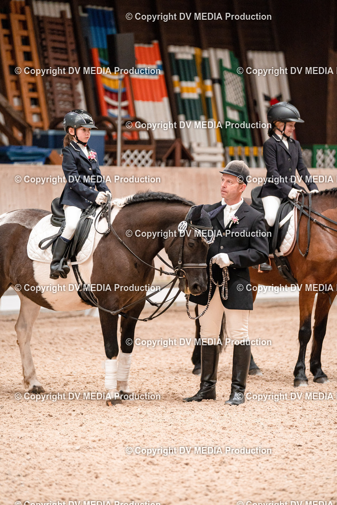 Dressur Tag 3-510 | dv-media-shop - Realisiert mit Pictrs.com