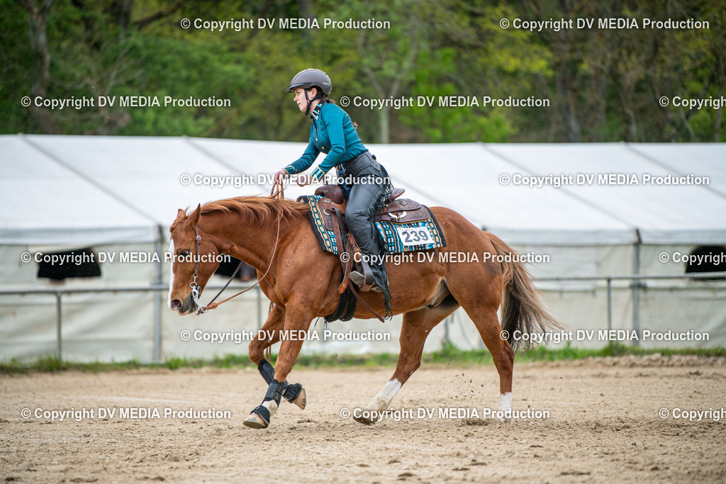 Heiligenwald Tag 2-2579 | dv-media-shop - Realisiert mit Pictrs.com