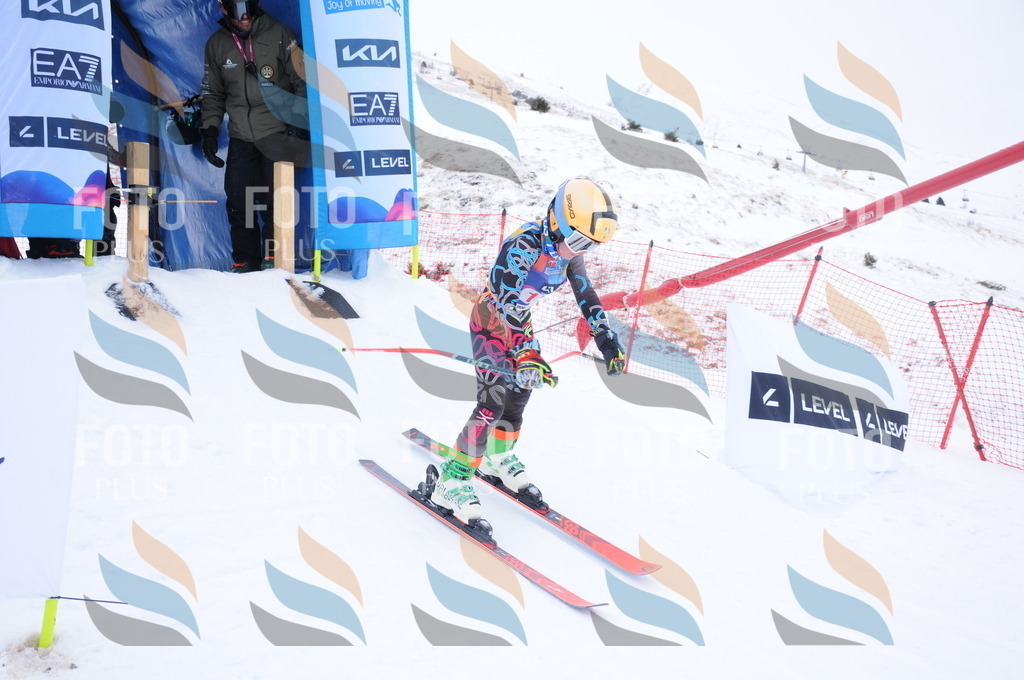 DSC_8491 | holidayphoto