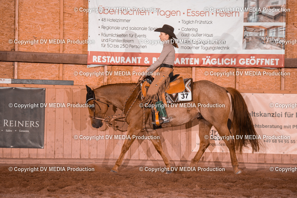 NE200599 | dv-media-shop - Realisiert mit Pictrs.com