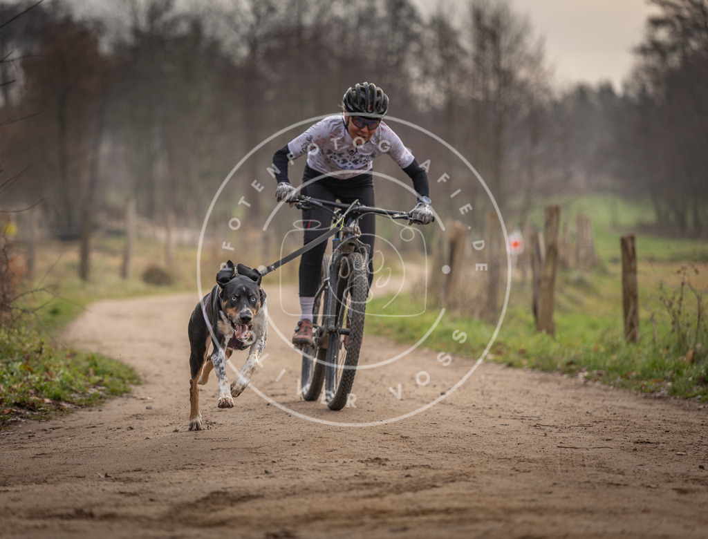 Pfotenfotografie_DV3A1618 | Hundefotografie, Tierfotograf, Pfotenfotografie, Fotoshooting Hund, Hunde Portrait, Hundesport, Hundeportraits, Heideshooting, Hunde, Sportfotograf, Hundefotograf, Turnierhundsport, THS,  - Realisiert mit Pictrs.com
