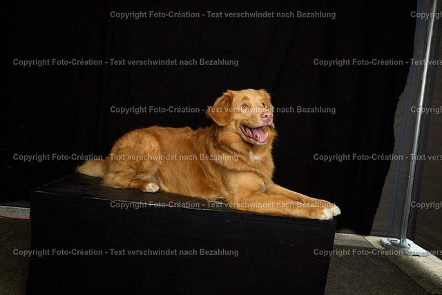 30.08.25 HSW Luzern Samstag0758 | foto-création - Realisiert mit Pictrs.com