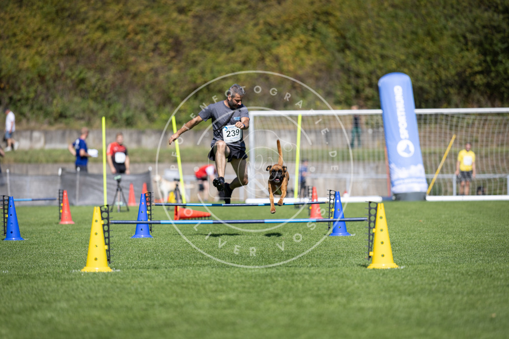 Pfotenfotografie_DV3A5860 | Hundefotografie, Tierfotograf, Pfotenfotografie, Fotoshooting Hund, Hunde Portrait, Hundesport, Hundeportraits, Heideshooting, Hunde, Sportfotograf, Hundefotograf, Turnierhundsport, THS,  - Realisiert mit Pictrs.com
