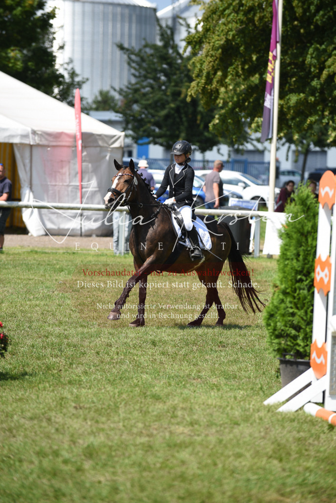 DSC_0066 | Pferde- und Turnierfotografie in Westsachsen. Pferdeportraits, Auftragszeichnungen und intuitive Kunst.