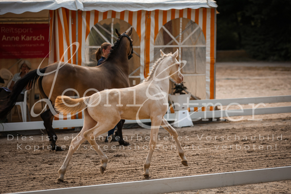 10.DoRP00057 | Leoni Ertmer Photography - Realisiert mit Pictrs.com