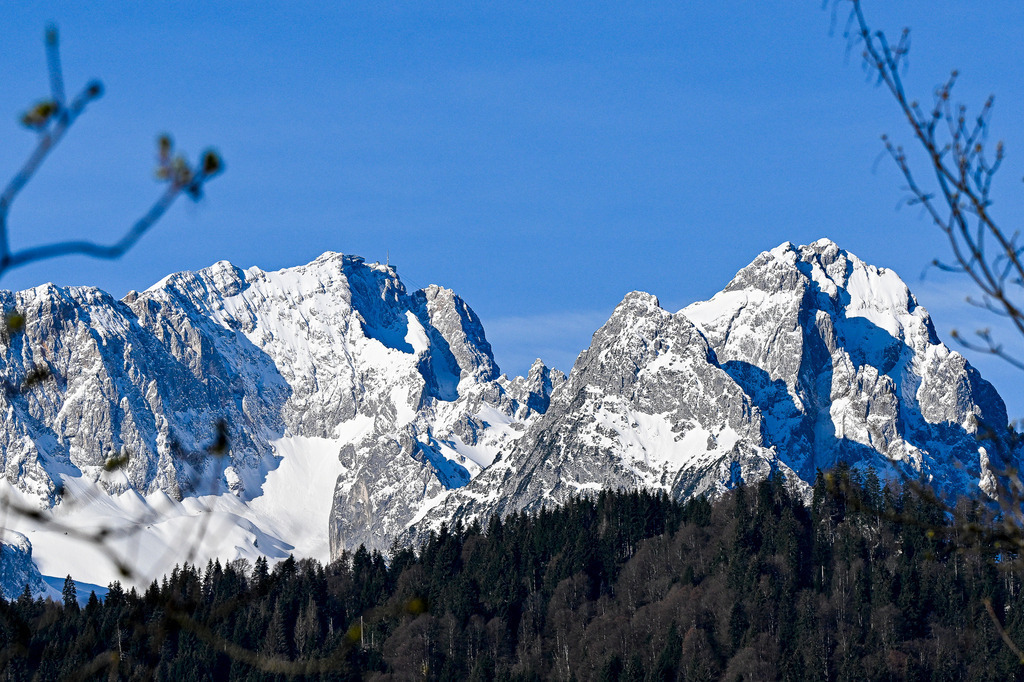 Wo die Ewigkeit den Himmel berührt | Ein erhabener Moment stiller Größe: Stolz und unerschütterlich ragen die schneebedeckten Gipfel der Alpen in das endlose, makellose Blau des Himmels. Während im Vordergrund die dunklen Wälder tief verwurzelt im Schatten ruhen und erste Frühlingsknospen sanft ins Bild ragen, strahlt das ewige Eis im hellen Sonnenlicht eine tiefe, beruhigende Sehnsucht aus. Ein Anblick, der den Atem stocken lässt, uns unsere eigene Kleinheit spüren lässt und gleichzeitig das Herz mit unbändiger Freiheit und innerem Frieden erfüllt. - Realisiert mit Pictrs.com