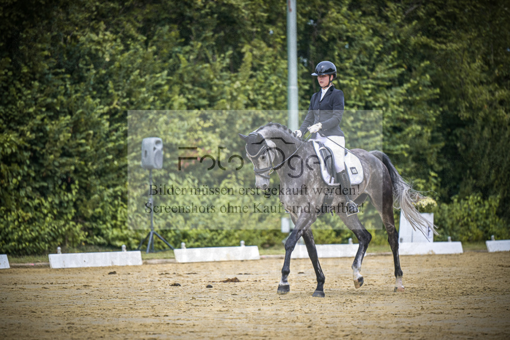 DOS_2322 | Entdecke hochwertige Reitturnierfotos von Foto Oger. Professionell, emotional und authentisch – jetzt Lieblingsmomente im Shop bestellen.Deutschlandweite Turnierfotografie. - Realisiert mit Pictrs.com