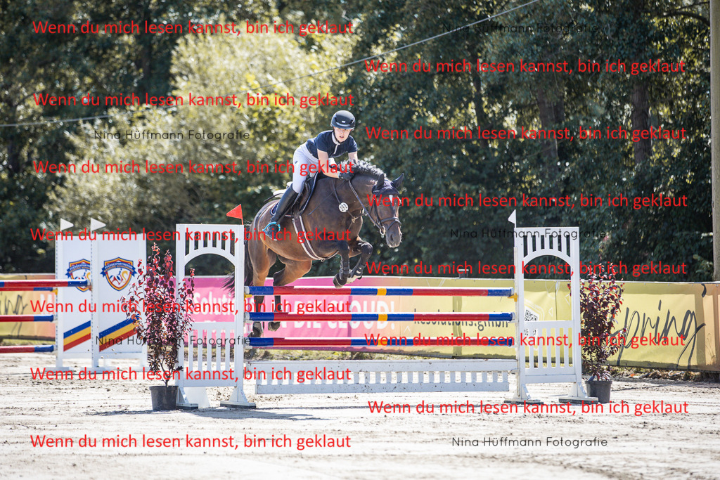 BK1A6566 | Turnierbilder Turnierfotos Nina Hüffmann Turnierfotografie Pferdefotografie Tierzeichnung Haustierzeichnung Pferdezeichnung Hundezeichnung Videograf  - Realisiert mit Pictrs.com