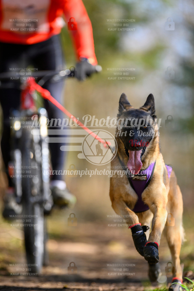 MompixPhotography_ReiatRennen2024_Bike1H-57 | PayLife