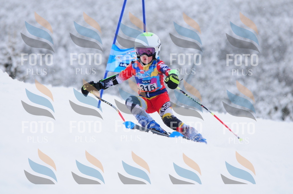 C3335 | holidayphoto