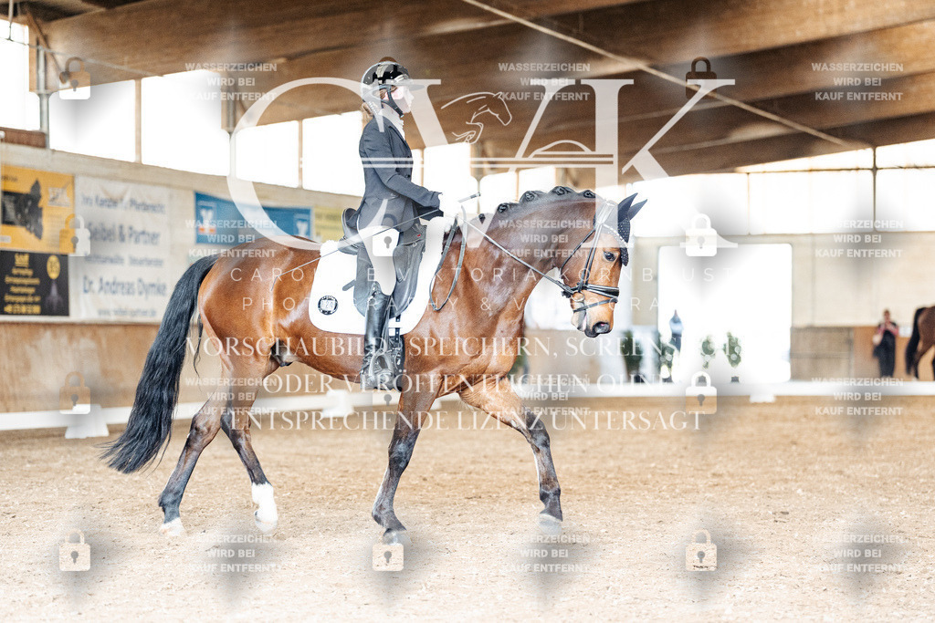 CK901488 | Turnierfotografie Pferdefotografie Trier Rheinland-Pfalz Pferdesport Reitsport Tierfotografie Sportfotografie Pferdevideo Pferdevideografie Equestrianvideography equestrianphotography  - Realisiert mit Pictrs.com