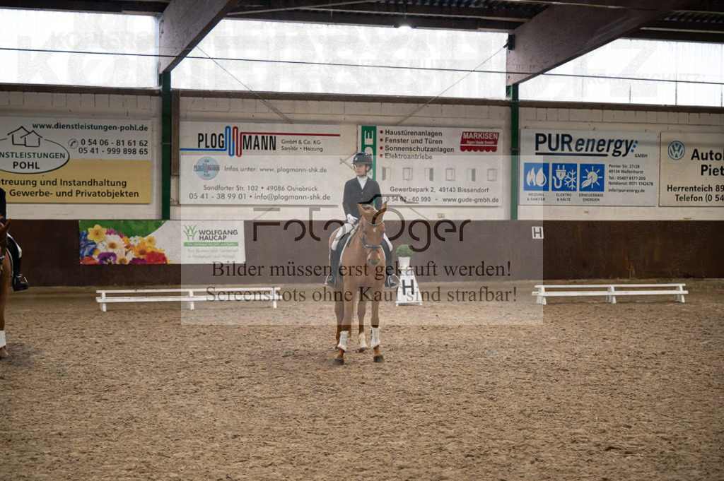 Hallenreittunier Voxtrup 2023 | Entdecke hochwertige Reitturnierfotos von Foto Oger. Professionell, emotional und authentisch – jetzt Lieblingsmomente im Shop bestellen.Deutschlandweite Turnierfotografie. - Realisiert mit Pictrs.com