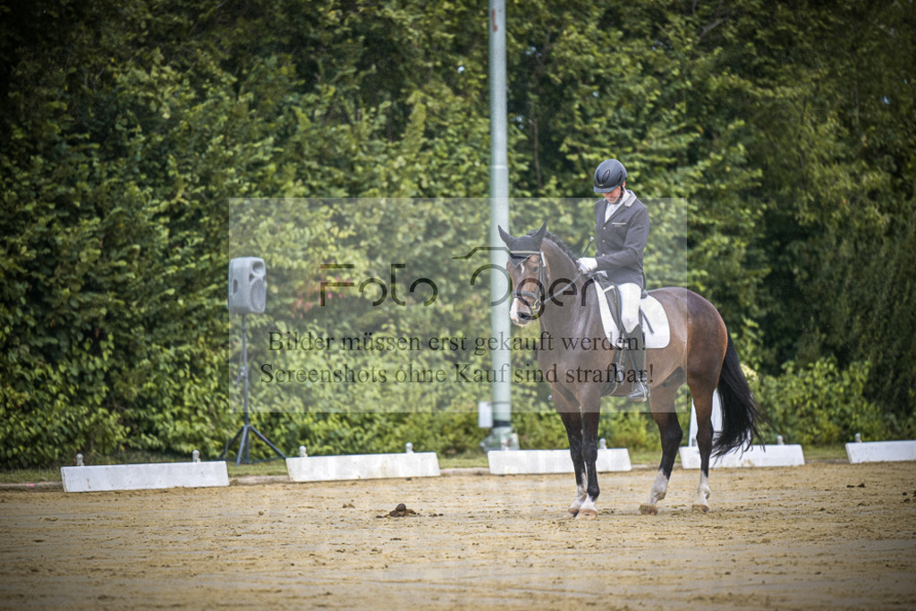DOS_1224 | Entdecke hochwertige Reitturnierfotos von Foto Oger. Professionell, emotional und authentisch – jetzt Lieblingsmomente im Shop bestellen.Deutschlandweite Turnierfotografie. - Realisiert mit Pictrs.com