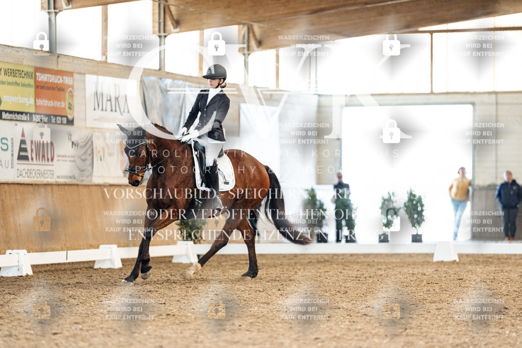 CK909265 | Turnierfotografie Pferdefotografie Trier Rheinland-Pfalz Pferdesport Reitsport Tierfotografie Sportfotografie Pferdevideo Pferdevideografie Equestrianvideography equestrianphotography  - Realisiert mit Pictrs.com