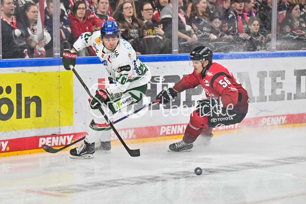 Kölner Haie - Augsburger Panther | KÖLN, DEUTSCHLAND - 04. MÄRZ: im Duell Alexander BLANK (Augsburger Panther 26) und Markus NUTIVAARA (Kölner Haie 56) während dem Match zwischen den Kölner Haien und den Augsburger Panthern am 48. Spieltag der Penny DEL in der Lanxess Arena
