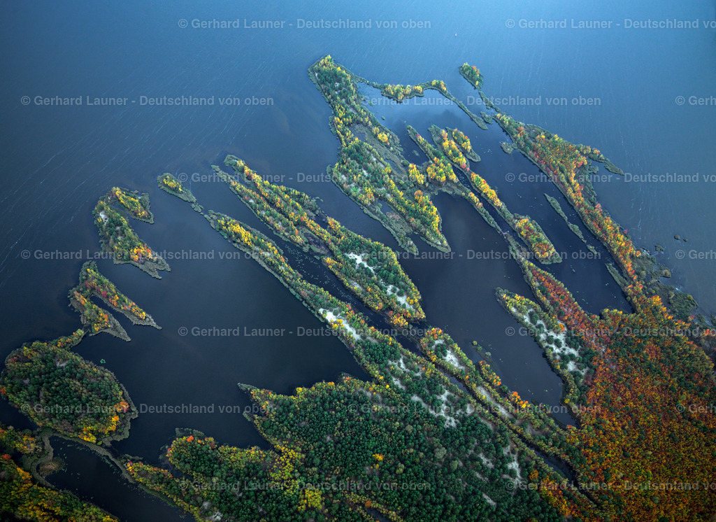 3069101 | Waldinsel im Senftenberger See