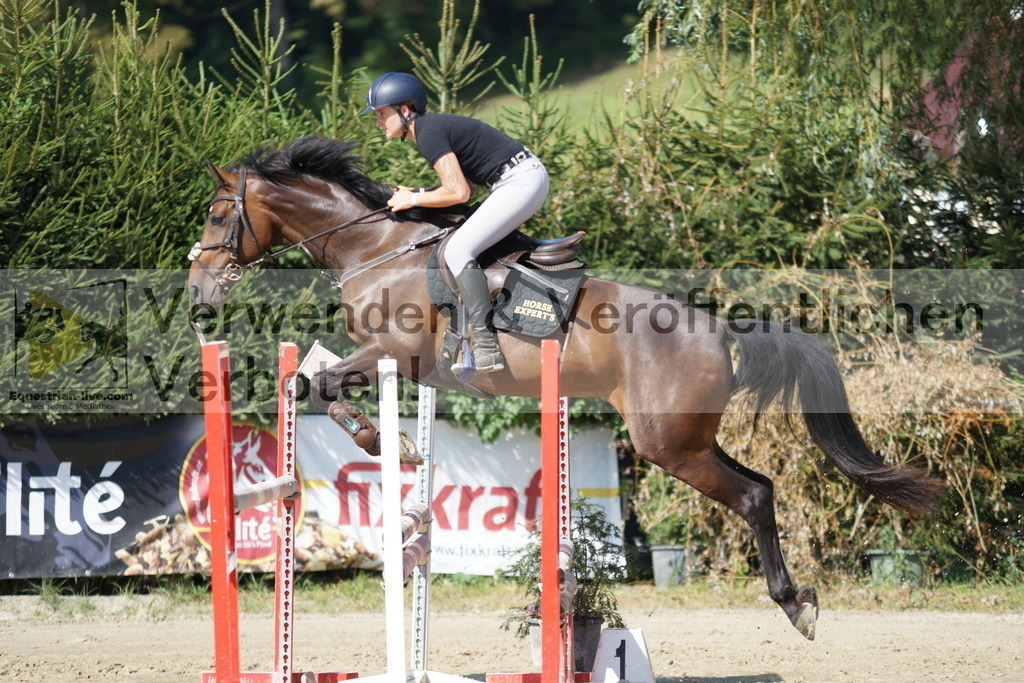 DSC01568 | equestrian-live-com