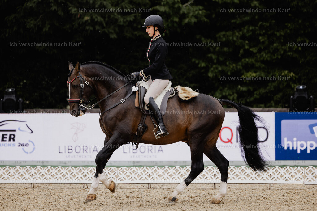 Virginie12FHC2025-24550 | working equitationturnier fotograf videograf stoibphotography marixx film working equitation deutschland reitsport turnierfotografie eventfotografie equestrian events