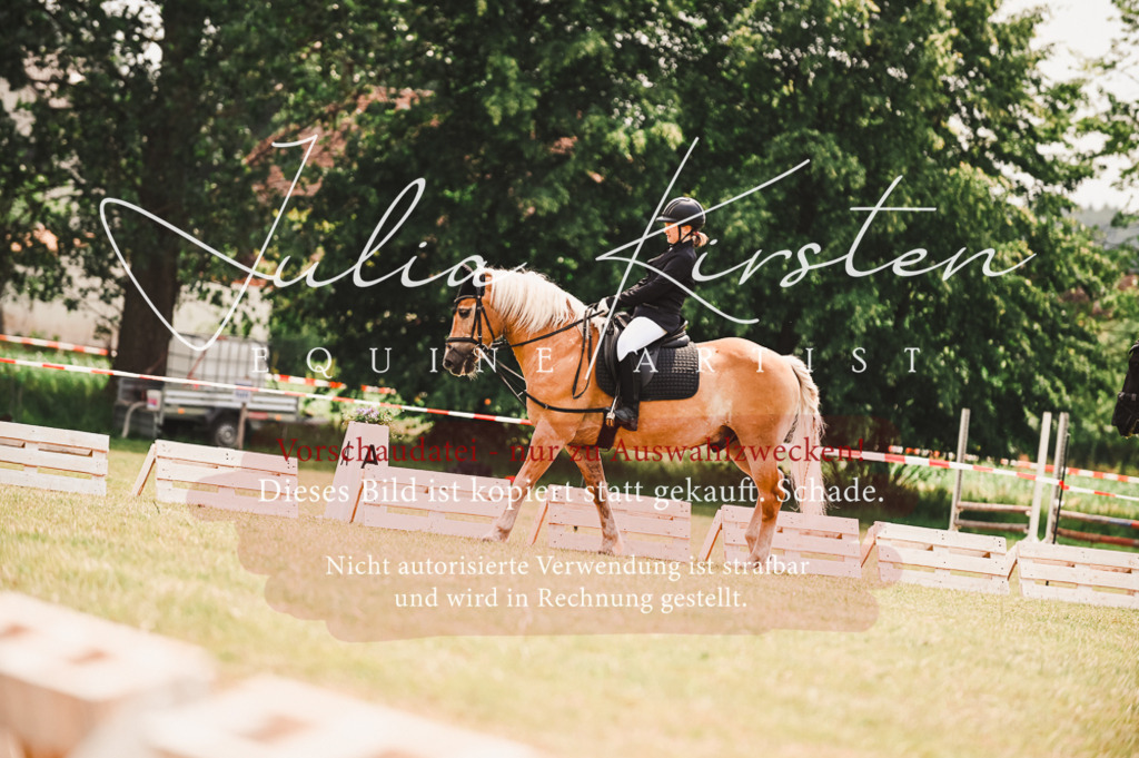 DSC_6326 | Pferde- und Turnierfotografie in Westsachsen. Pferdeportraits, Auftragszeichnungen und intuitive Kunst.