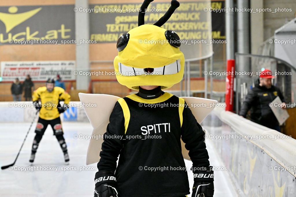 EC Spittal Hornets vs. ESC Steindorf 10.2.2024 | Maskottchen EC Hornets Spittal Spitti