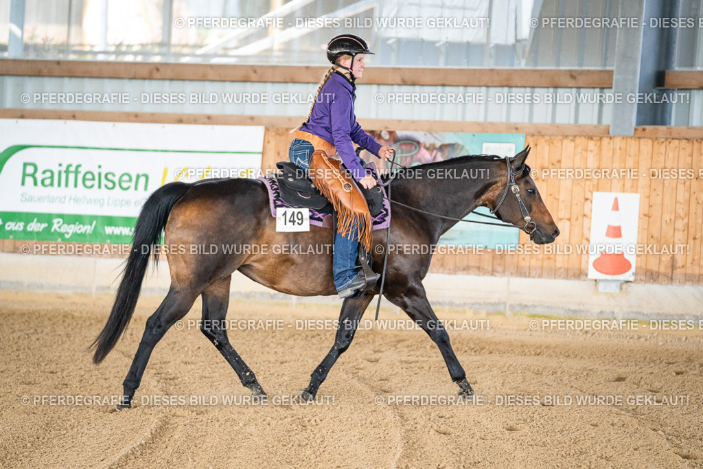 DSC01540 | Pferdegrafie