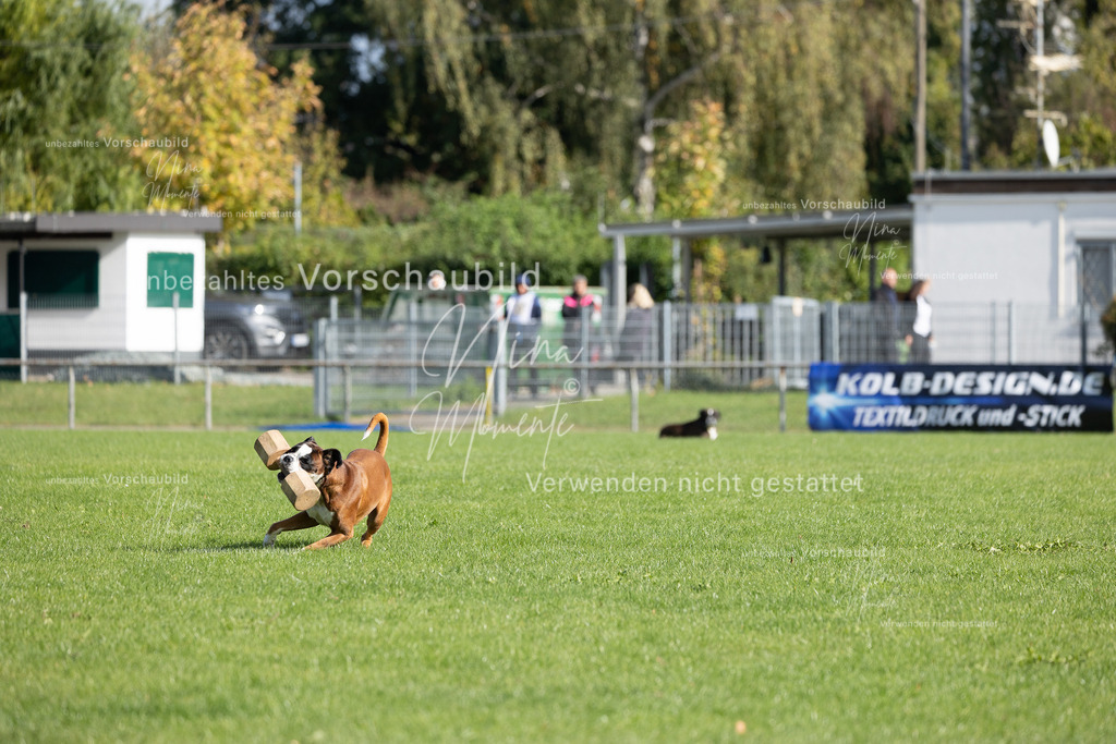 _16A6927 | Einzigartige Fotos von Hunden & Menschen –Actionfotos, Portraits, Vereinsaufnahmen & Paarshootings – authentisch, lebendig & mit Herz.