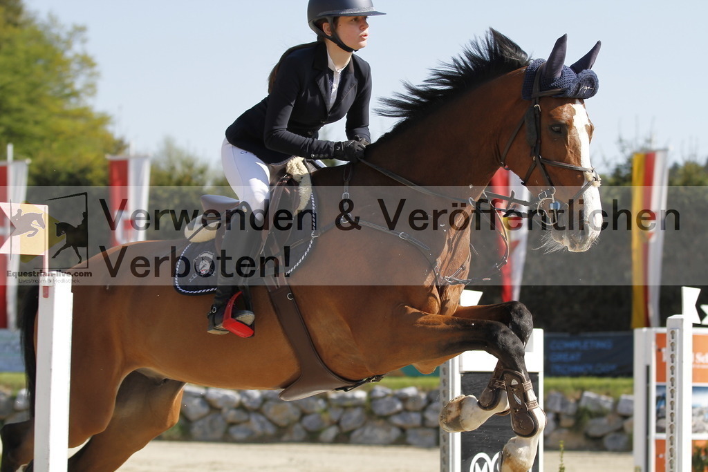 _MG_6640 | equestrian-live-com