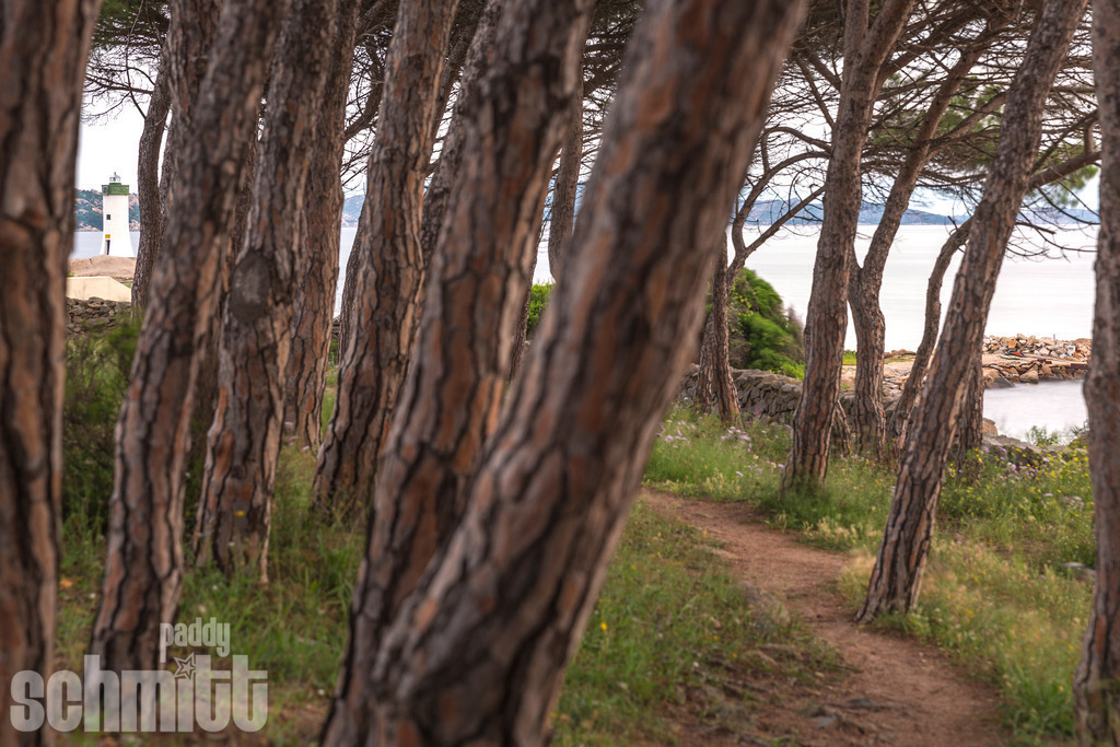 PS-Sardinien-2026-32 | Entdecke die größte Bildgalerie der Region mit Fotografien aus dem Allgäu, der Bodenseeregion, Oberschwaben, dem Donautal und der Schwäbischen Alb. Landschaften, Luftaufnahmen und Reisefotografie als Wandbild und Fotokunst. - Realisiert mit Pictrs.com