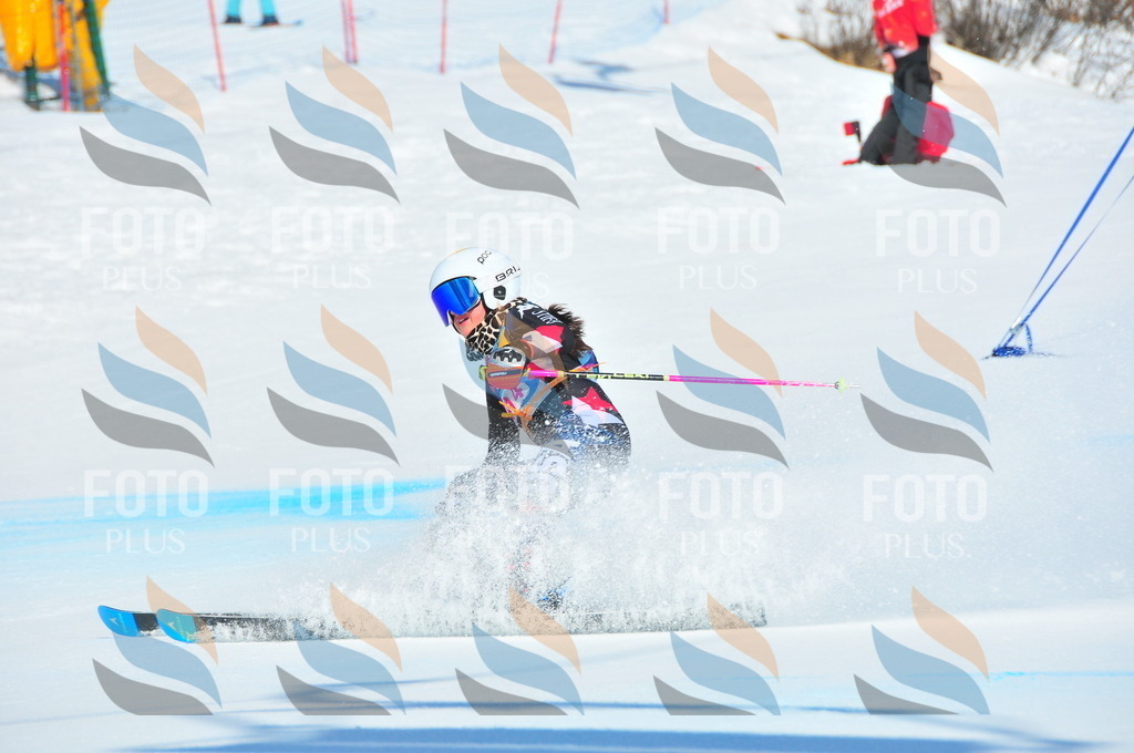 DSC_4704 | holidayphoto