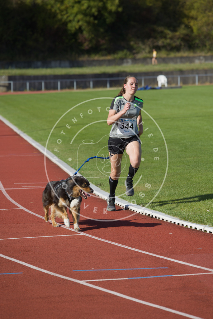 0L8A9218 | Hundefotografie, Tierfotograf, Pfotenfotografie, Fotoshooting Hund, Hunde Portrait, Hundesport, Hundeportraits, Heideshooting, Hunde, Sportfotograf, Hundefotograf, Turnierhundsport, THS,  - Realisiert mit Pictrs.com