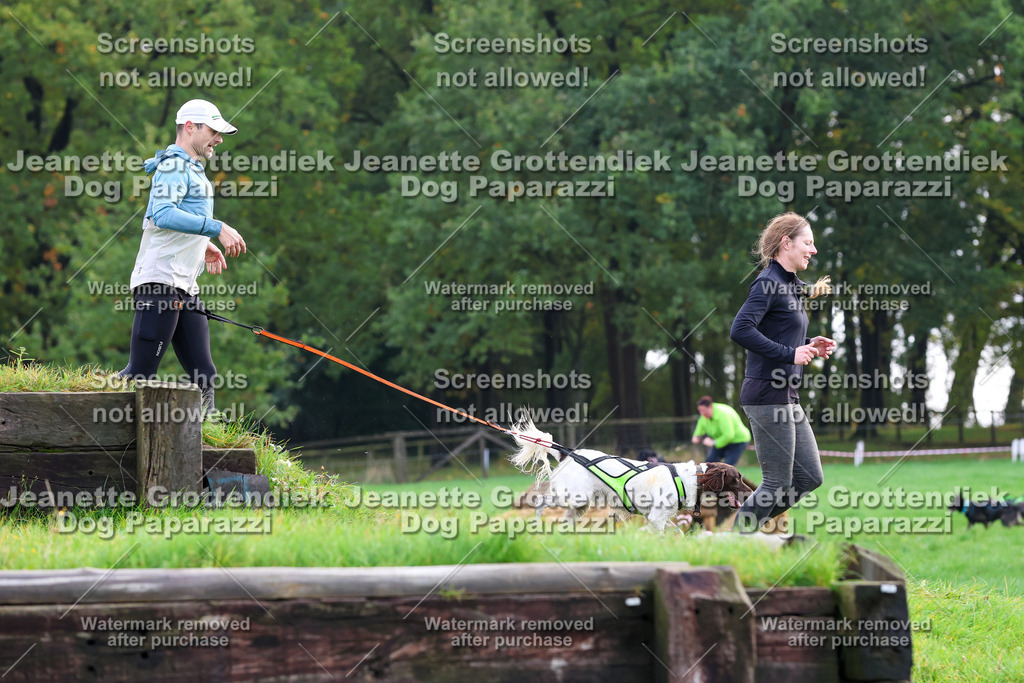 Dog Paparazzi -  SD1026-2182 | Dog Paparazzi Jeanette Grottendiek Fotografie & Videografie - Realisiert mit Pictrs.com