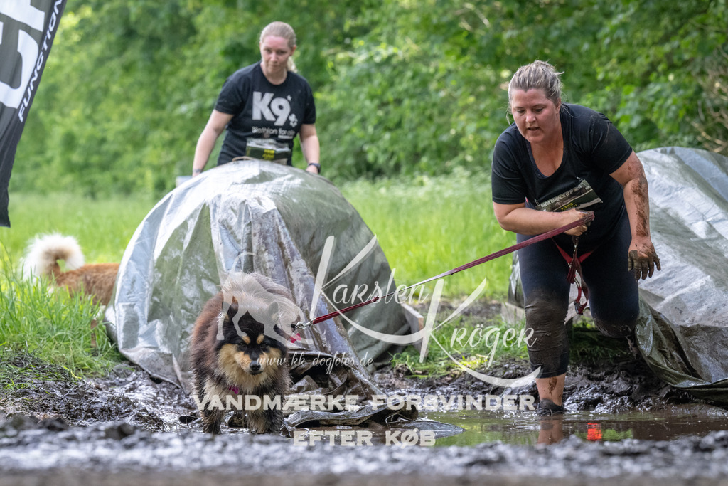 1240_ZZ92919 | kk-dogfotos