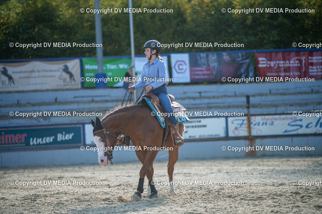 EWP_7123 | dv-media-shop - Realisiert mit Pictrs.com