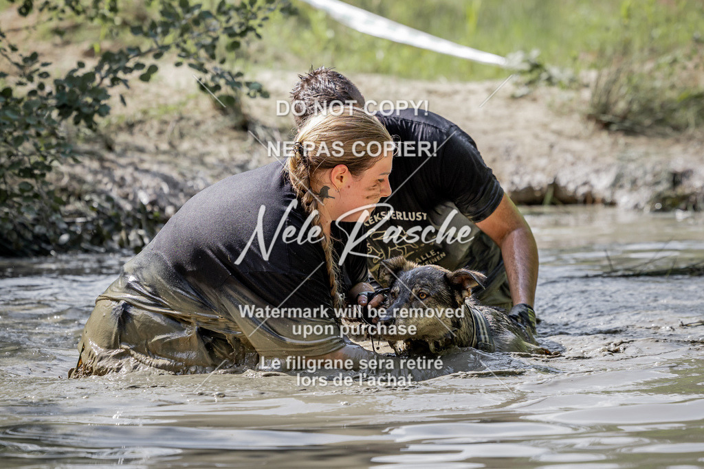nelerasche_so1030-1100_295 | nelerasche