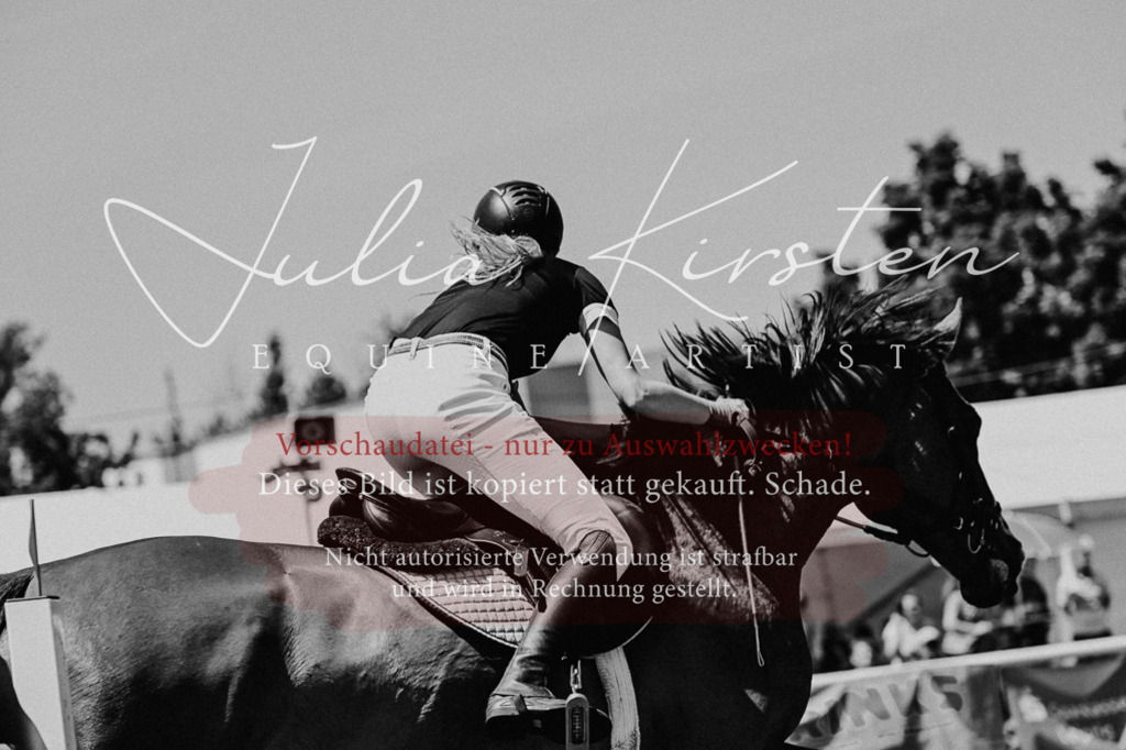 DSC_0483 | Pferde- und Turnierfotografie in Westsachsen. Pferdeportraits, Auftragszeichnungen und intuitive Kunst.