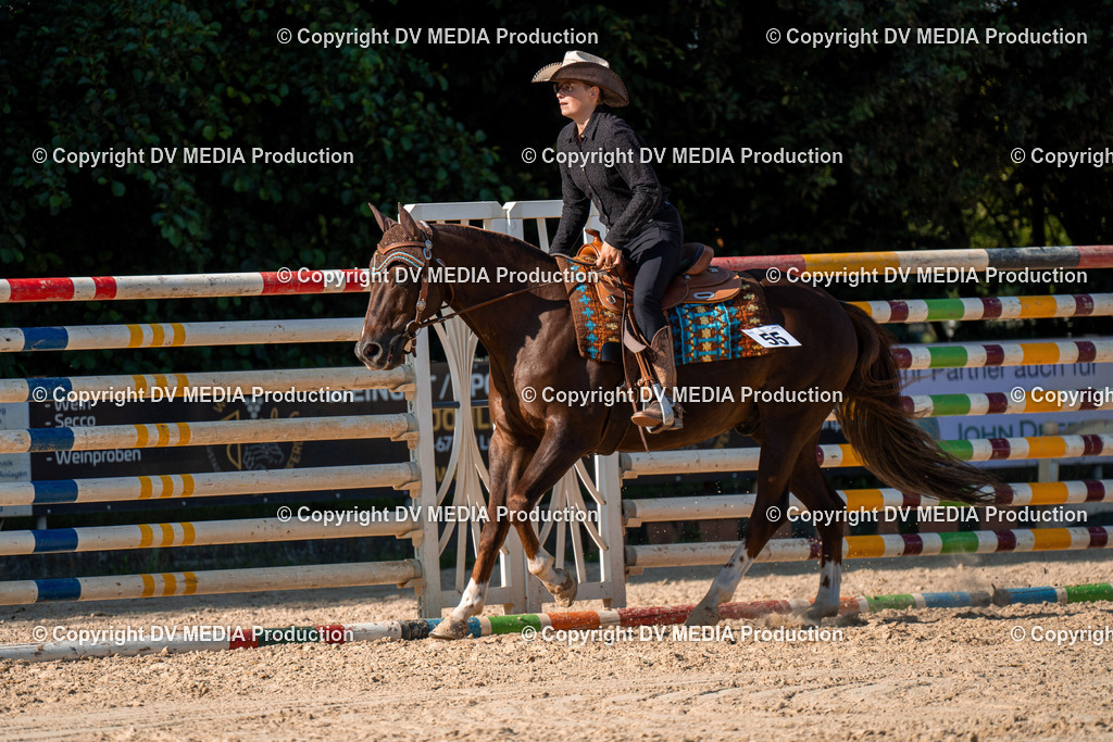 ZH100807 | dv-media-shop - Realisiert mit Pictrs.com