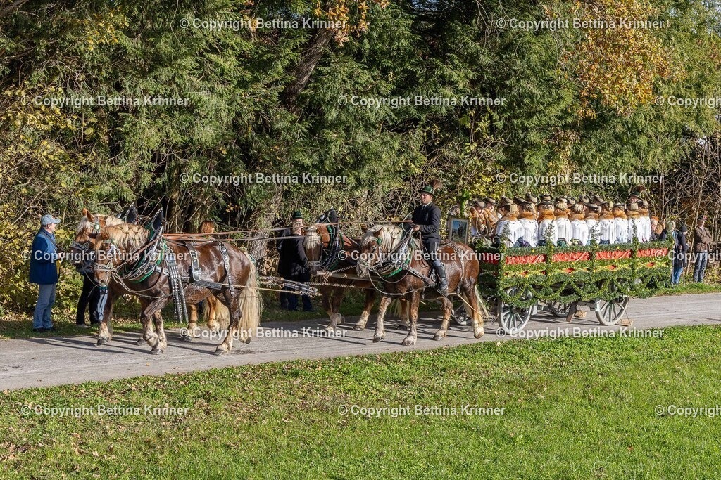 LBT24-316 | foto-bettina-krinner - Realisiert mit Pictrs.com