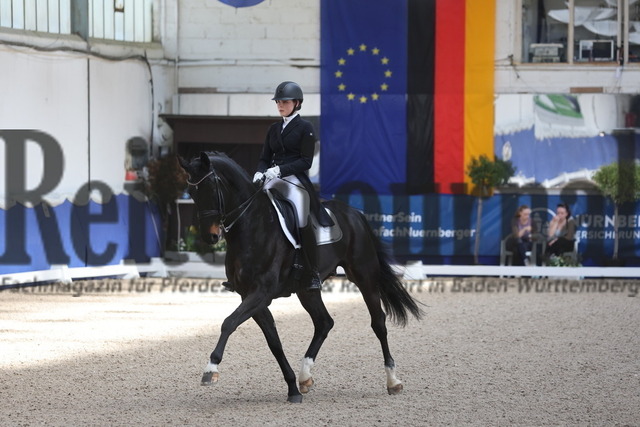 Pforzheim_2024_Prfg.Nr.11_Dressurprfg.Kl.S_Young-Talent-Tour_Lia Weil_Moosbend_s Fauntleroy (5) | Alle Fotos der Reiterjournal Fotografin Doris Matthaes im Reiterjournal Online-Fotoshop. - Realizado com Pictrs.com