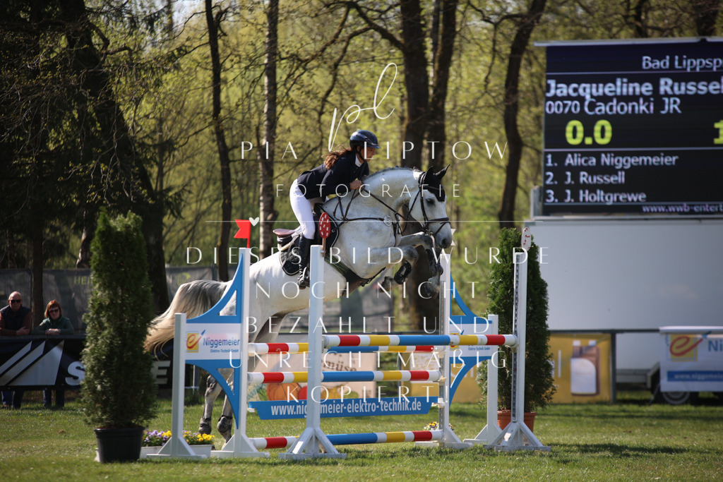 IMGT6060 | pl-fotografie