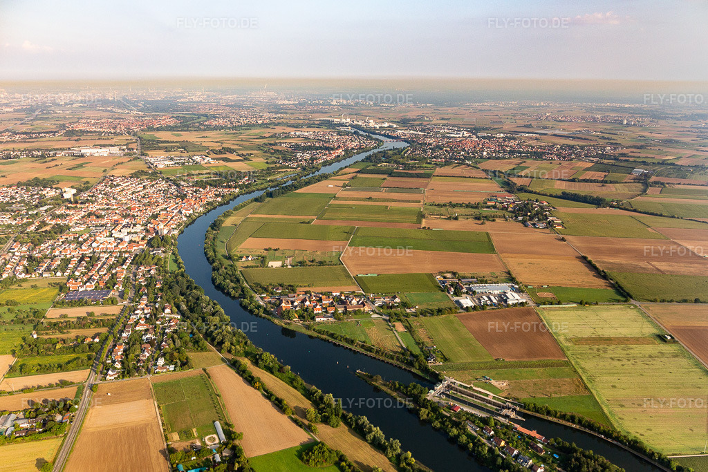 Luftbild: Neckar in Edingen-Neckarhausen im Bundesland Baden-Württemberg in Deutschland. Foto: IMG_117050.jpg vom 25.08.2019 durch Werner Riehm/FLY-FOTO.de